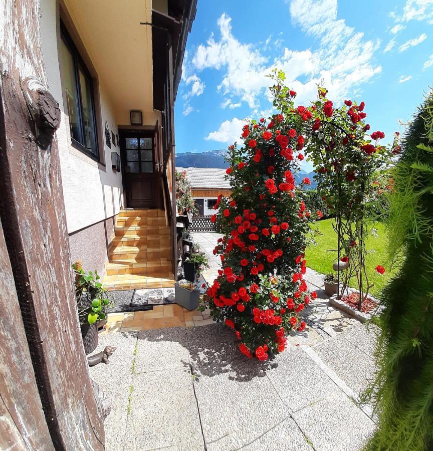 Appartment Luki Хаус-им-Энншталь Экстерьер фото