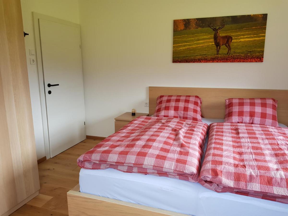 Appartment Luki Хаус-им-Энншталь Экстерьер фото